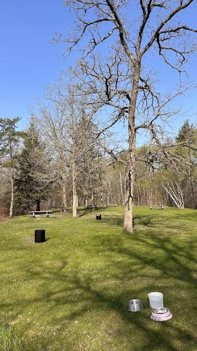 Tree Farm Campground Picture 9