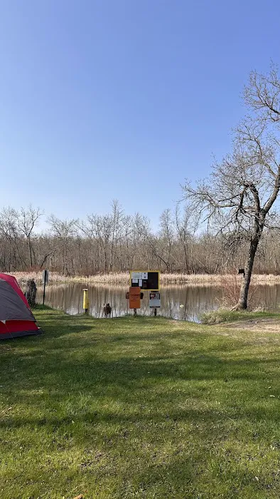 Tree Farm Campground Picture 2