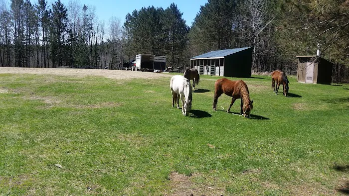 Shell City Horse Camp Picture 5
