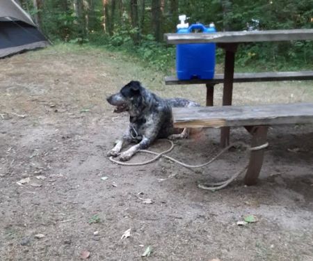 Shell city campground