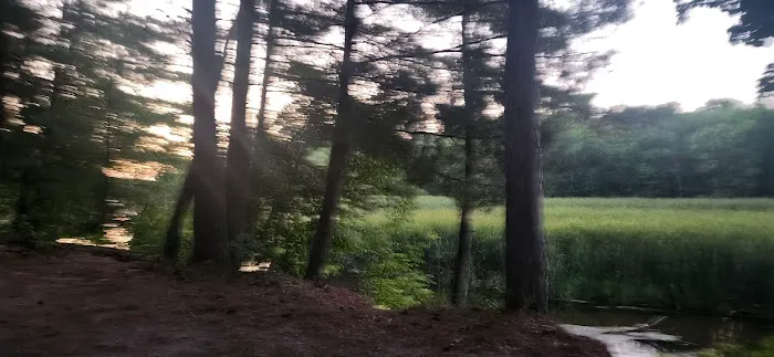 Shell city campground Picture 6