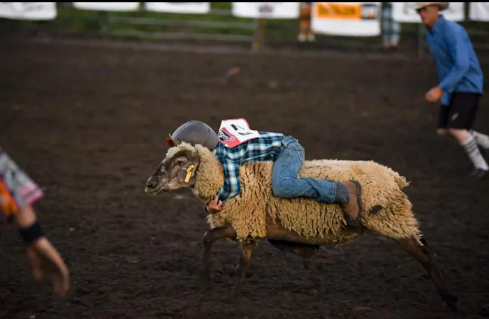 Norway Lake Canoe Access Picture 5