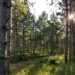 RV There Yet Campground