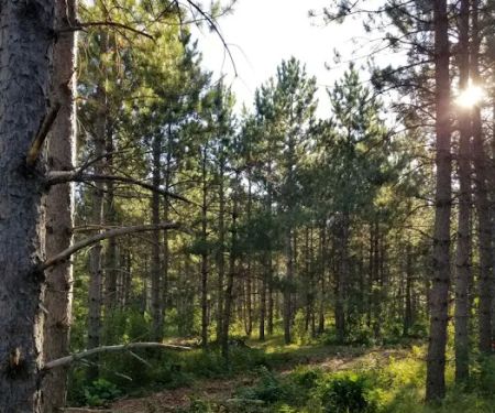 RV There Yet Campground