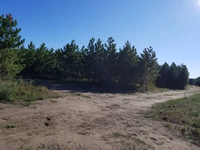 RV There Yet Campground Picture 3