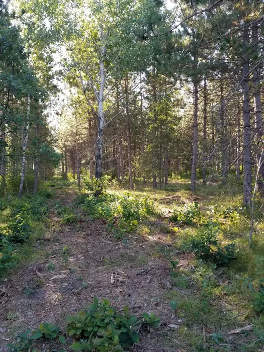 RV There Yet Campground Picture 4