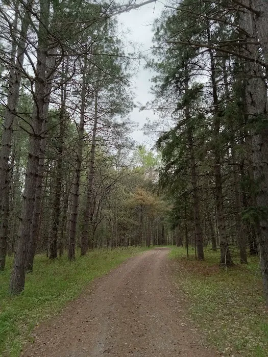 Schoolcraft Campground Picture 6