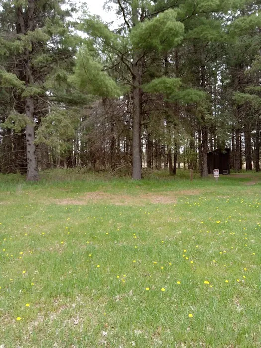 Schoolcraft Campground Picture 1