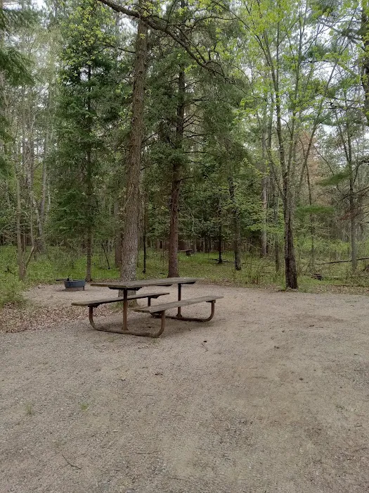 Schoolcraft Campground Picture 5