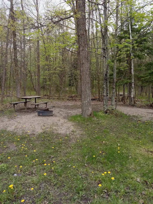 Schoolcraft Campground Picture 3