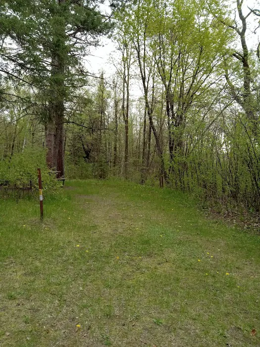Schoolcraft Campground Picture 4