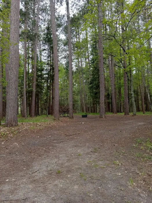 Schoolcraft Campground Picture 2