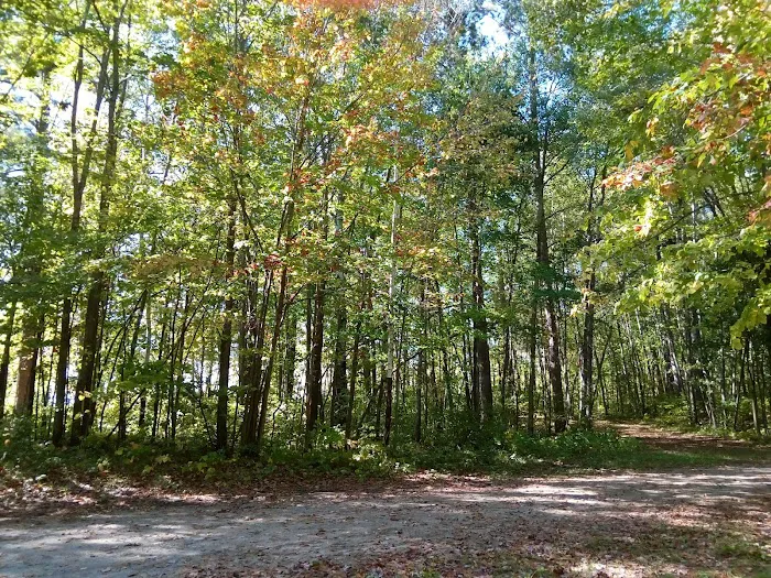 Six Mile Campground Picture 10