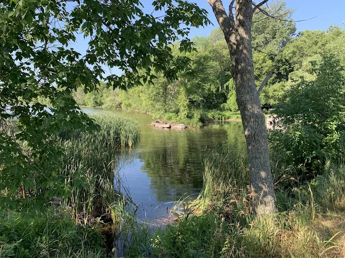Stony Point Campground Picture 6