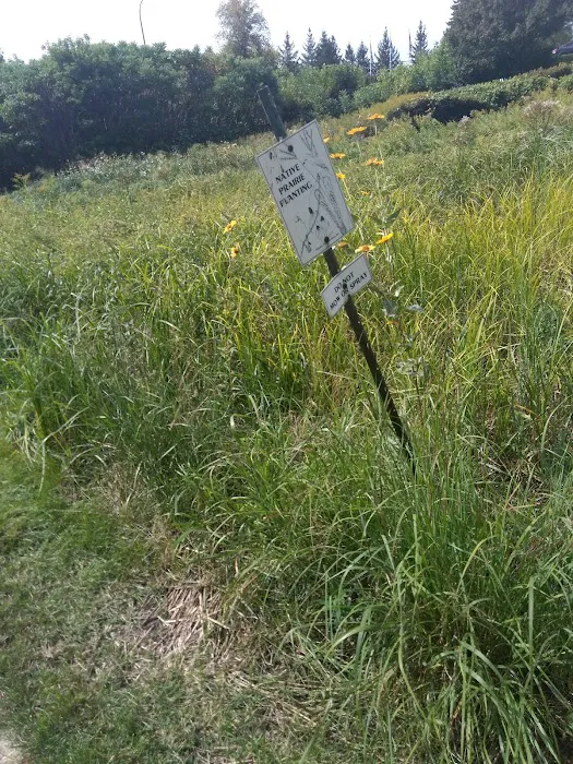 Forestry Department Picture 10
