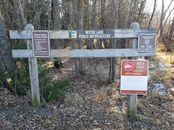 Moose Lake Campground Picture 6