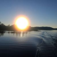 Indian Point Resort ico