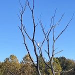 Crows Creek Fee Booth