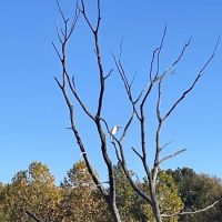 Crows Creek Fee Booth ico