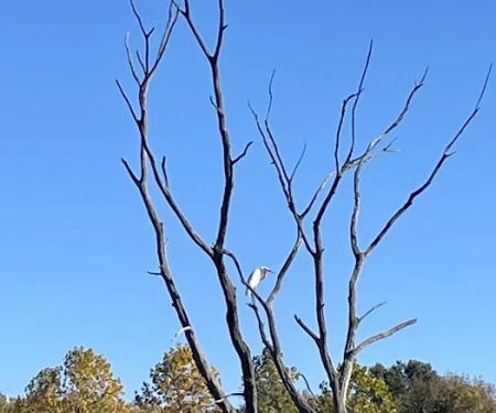 Crows Creek Fee Booth