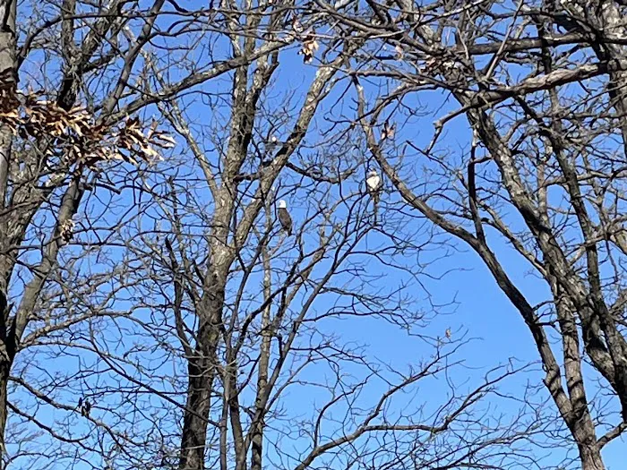 Crows Creek Fee Booth Picture 5