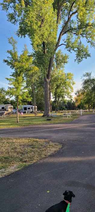 Sexauer Campground Picture 2