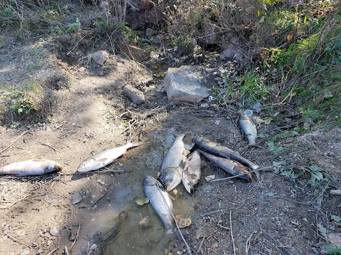 Nebraska Tailwaters Campground Picture 10