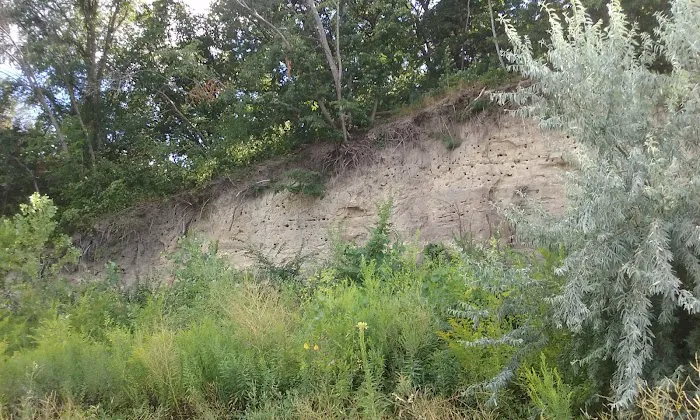 Nebraska Tailwaters Campground Picture 9