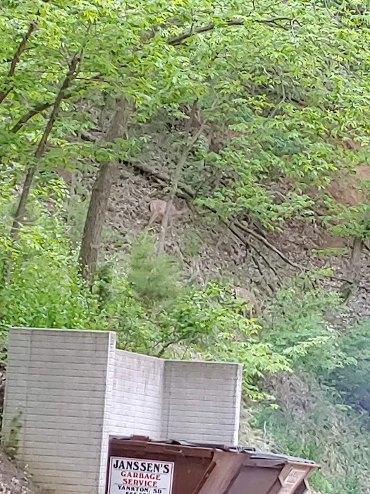 Midway Gulch Campground Picture 3