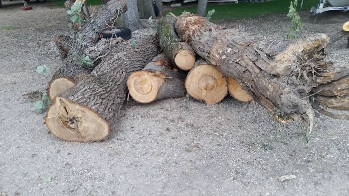 Midway Gulch Campground Picture 7