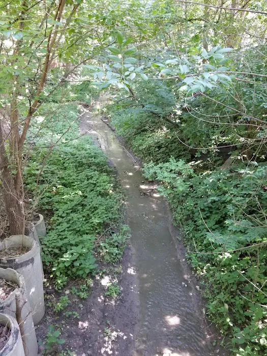 Midway Gulch Campground Picture 10