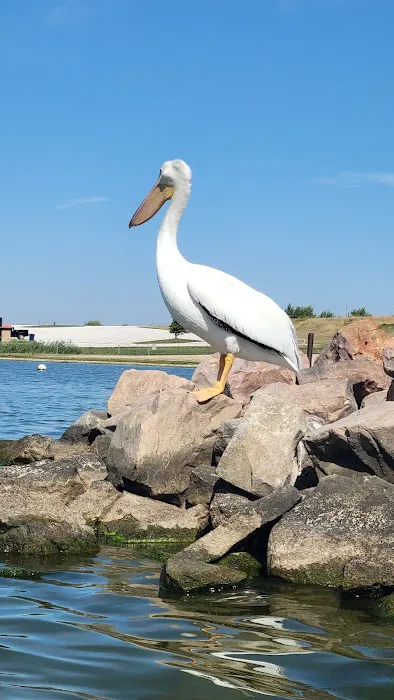 Maple Creek Recreation Area Picture 7