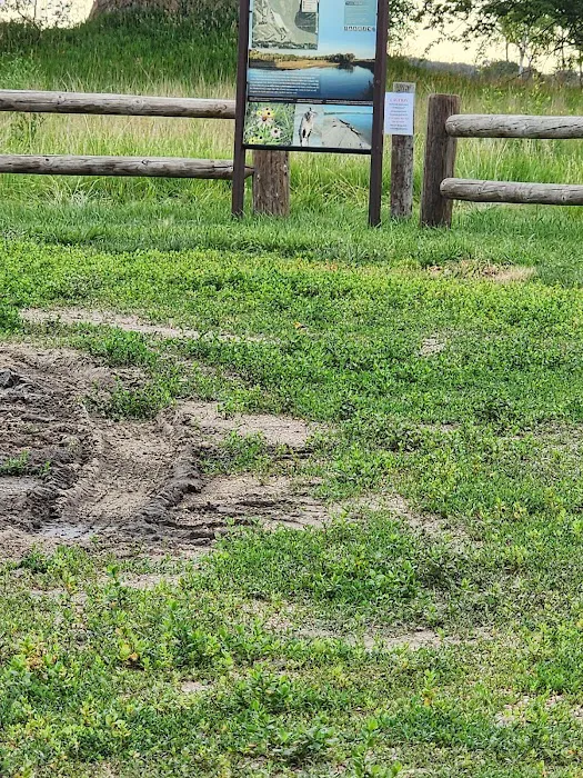 Bow Creek Primitive Campsite Picture 10