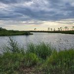 Bow Creek Primitive Campsite