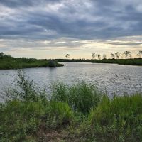 Bow Creek Primitive Campsite ico