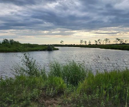 Bow Creek Primitive Campsite