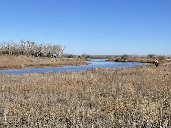 Bow Creek Primitive Campsite Picture 3