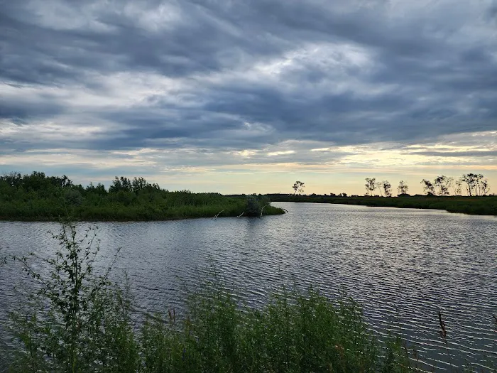 Bow Creek Primitive Campsite Picture 7