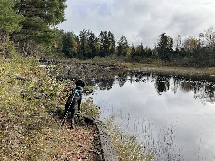 McDougal Lake Campground Picture 5