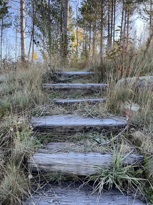 McDougal Lake Campground Picture 7
