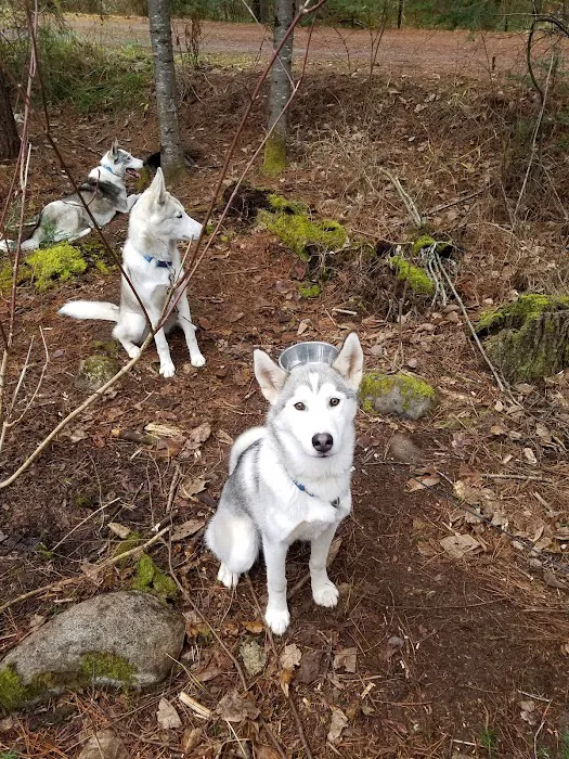 Little Isabella River Campground Picture 8