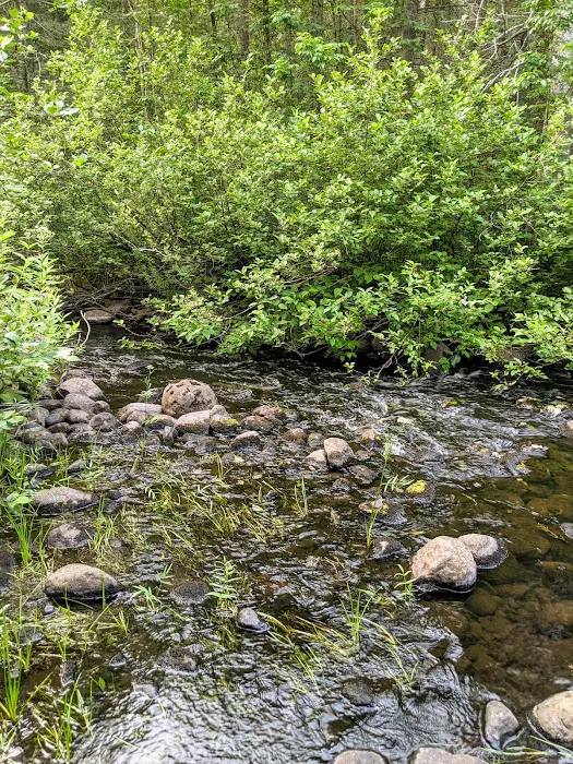 Little Isabella River Campground Picture 2