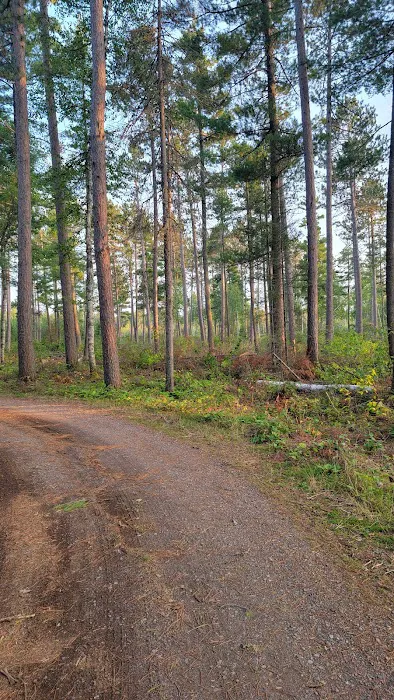 Little Isabella River Campground Picture 4