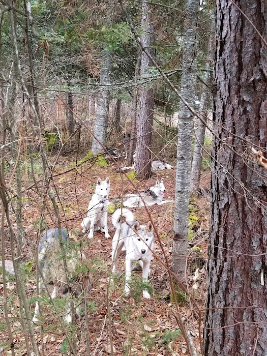 Little Isabella River Campground Picture 9