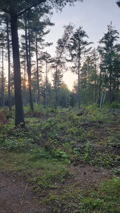 Little Isabella River Campground Picture 7