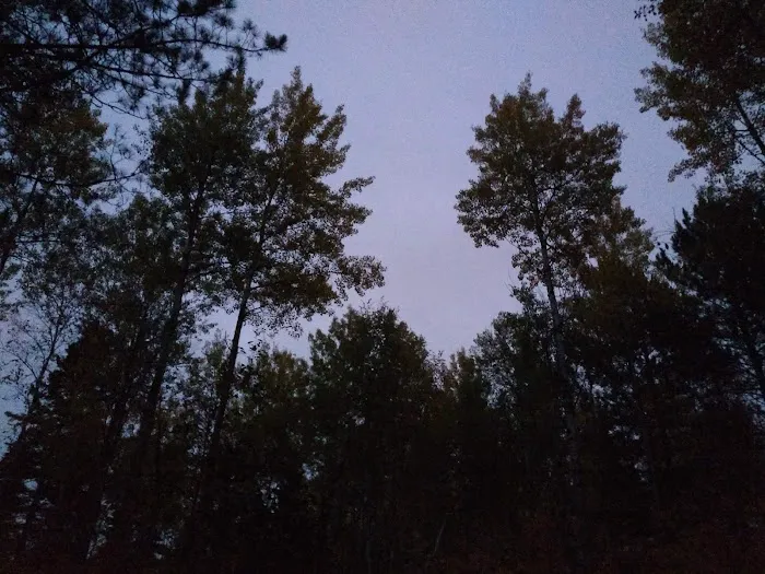 Birch Lake Campground Picture 10