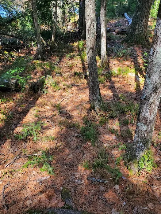 Eighteen Lake Rustic Campground Picture 6