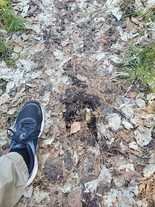 Eighteen Lake Rustic Campground Picture 9