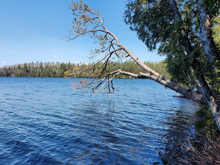 Eighteen Lake Rustic Campground Picture 5