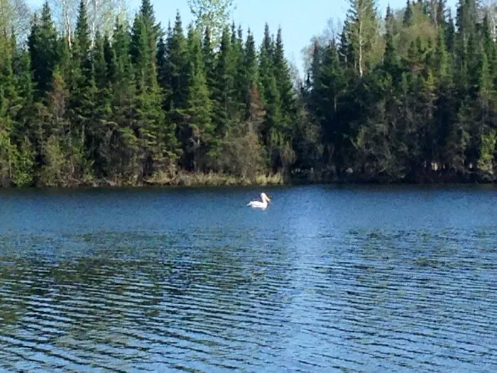 West-Two Rivers Campground Picture 6